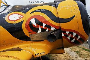 183- ARMEE DE L'AIR EN ALGERIE 1945-1962-30  (4)